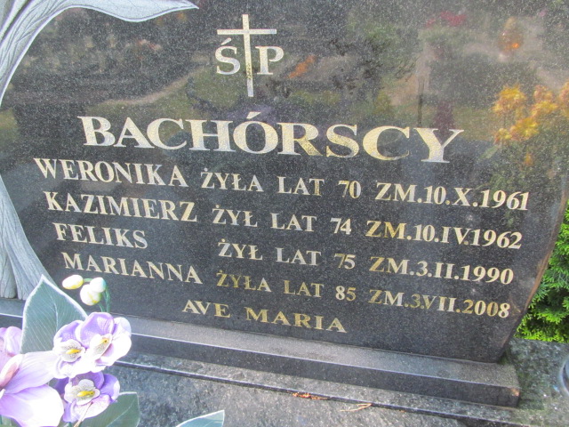 Weronika Bachórska Włocławek Michelin - Grobonet - Wyszukiwarka osób pochowanych