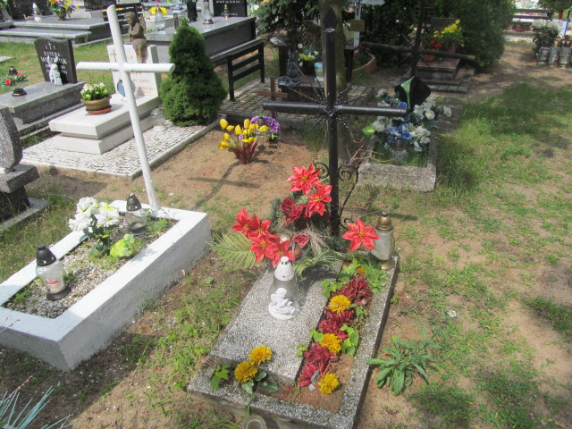  NN Włocławek Michelin - Grobonet - Wyszukiwarka osób pochowanych