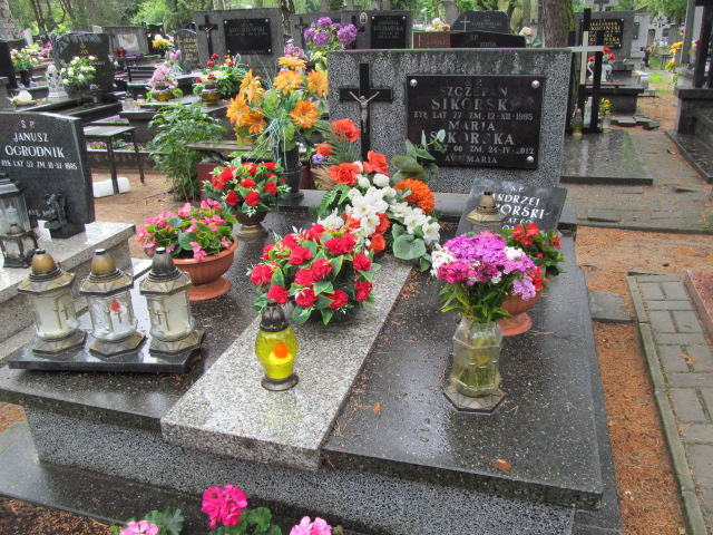 Grób Andrzej Sikorski